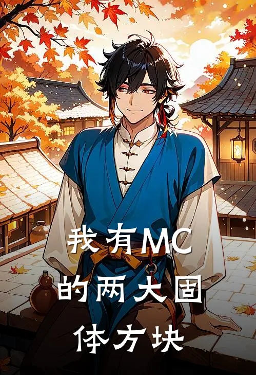 我有MC的两大固体方块