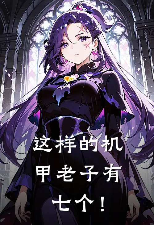 这样的机甲老子有七个！