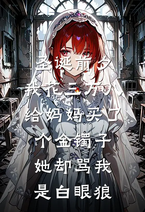 圣诞前夕，我花三万八给妈妈买了个金镯子，她却骂我是白眼狼(我妈)推荐完结小说_最新章节列表圣诞前夕，我花三万八给妈妈买了个金镯子，她却骂我是白眼狼(我妈)